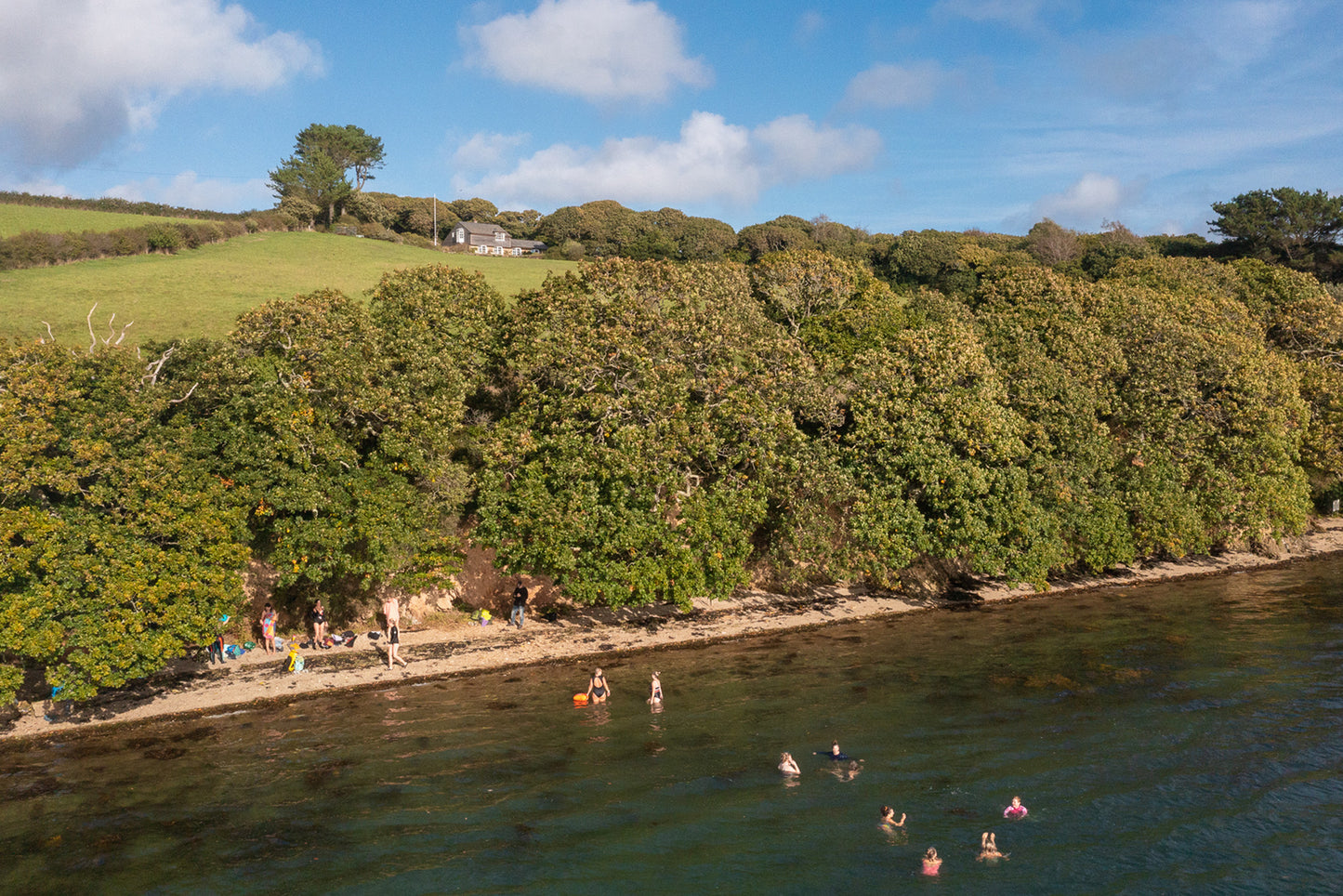 Wild Words & Water 21st-25th March 2026 - Writing Retreat in Cornwall