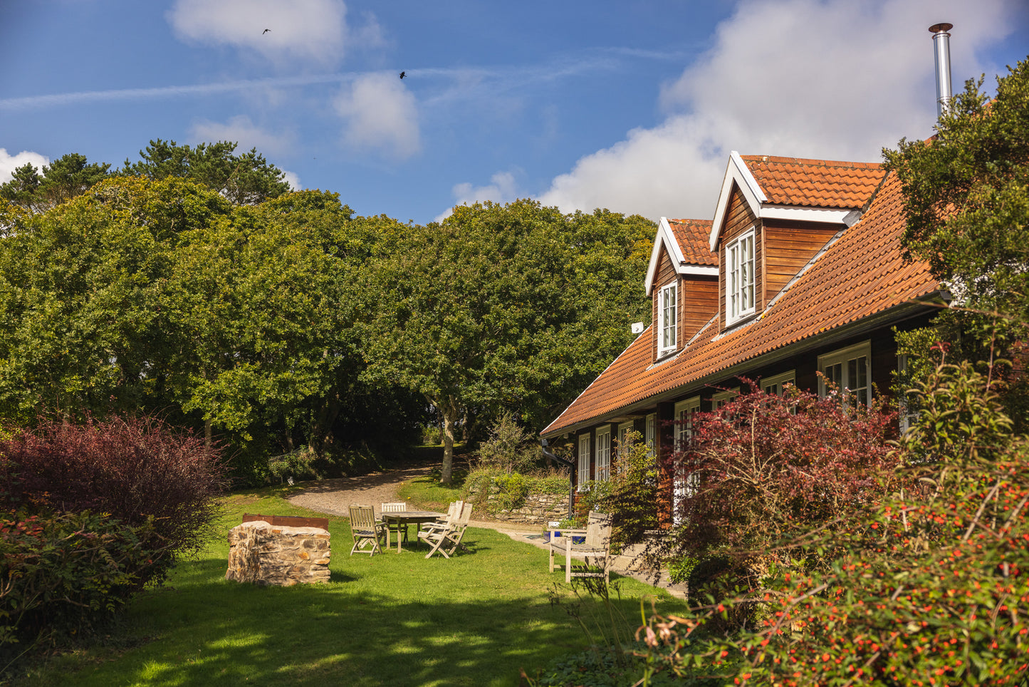 Wild Words & Water 21st-25th March 2026 - Writing Retreat in Cornwall