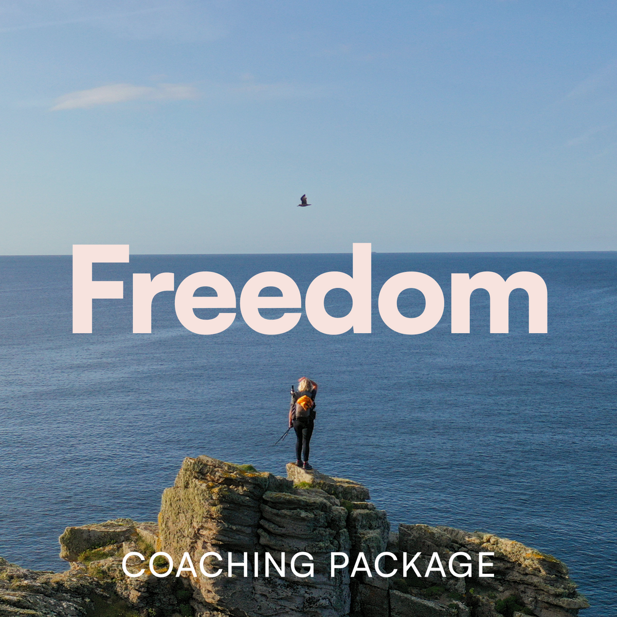 Freedom Coaching Package